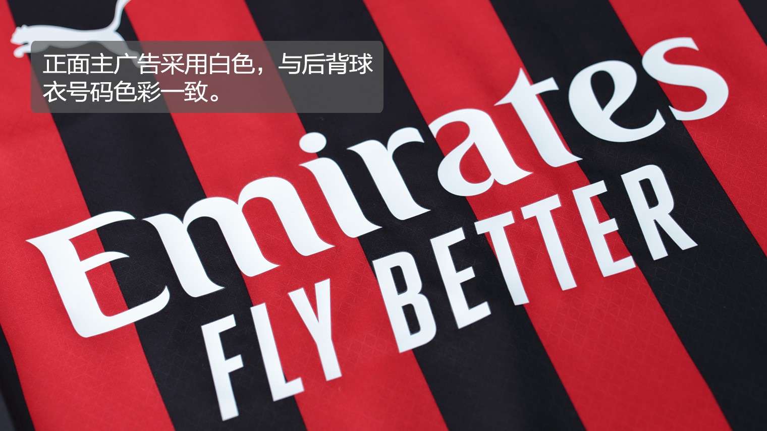 罗马vs乌迪内斯：洛伦佐-佩莱格里尼、克里斯坦特首发，扎尼奥洛、布克萨出战